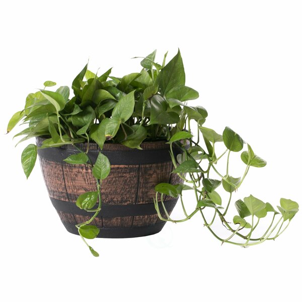 Gardenised Brown Outdoor Rustic Half Barrel Flower Garden Planter Bowl, Plastic, Small QI004113.S